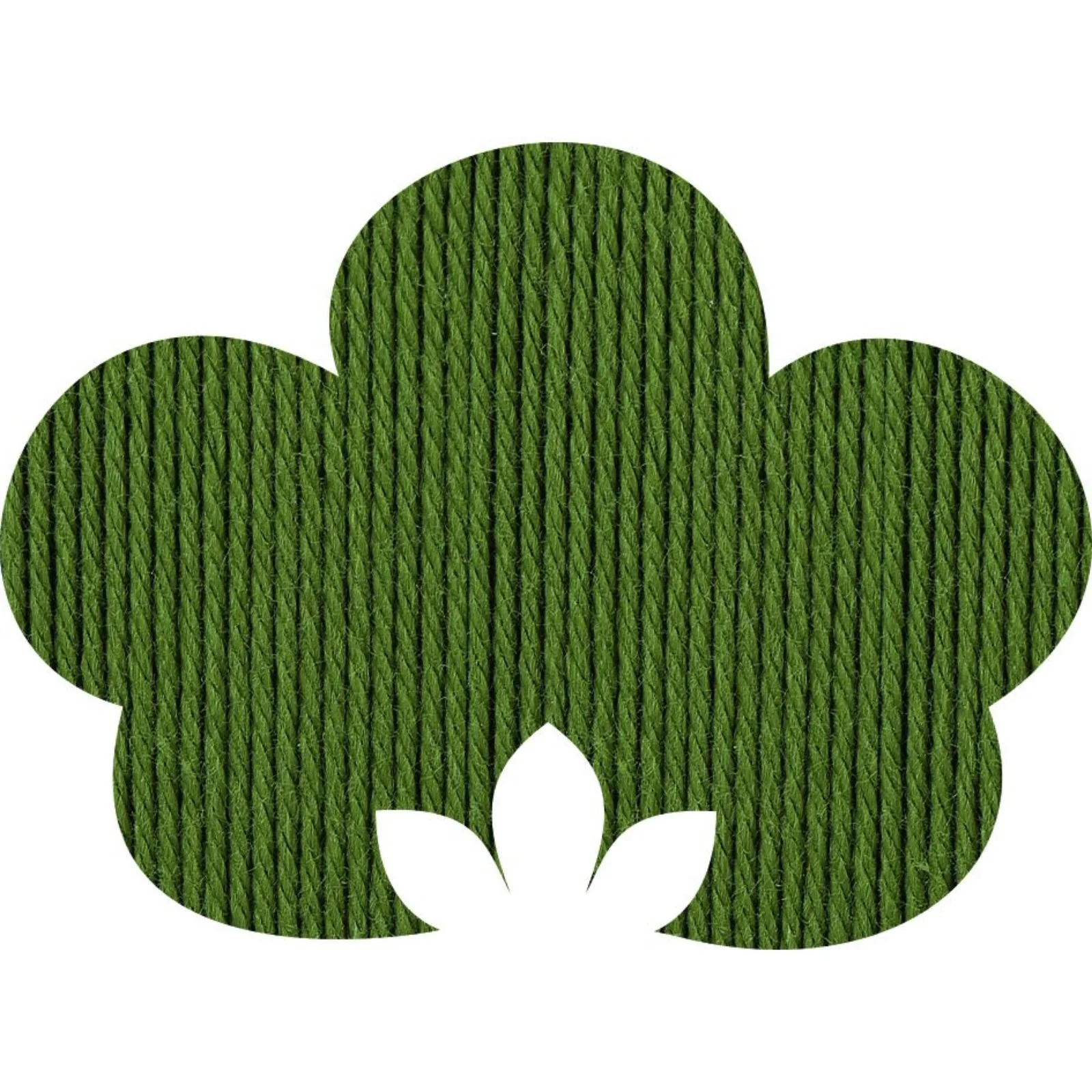 Anchor Organic Cotton 4-fädig 50 g - Image 10