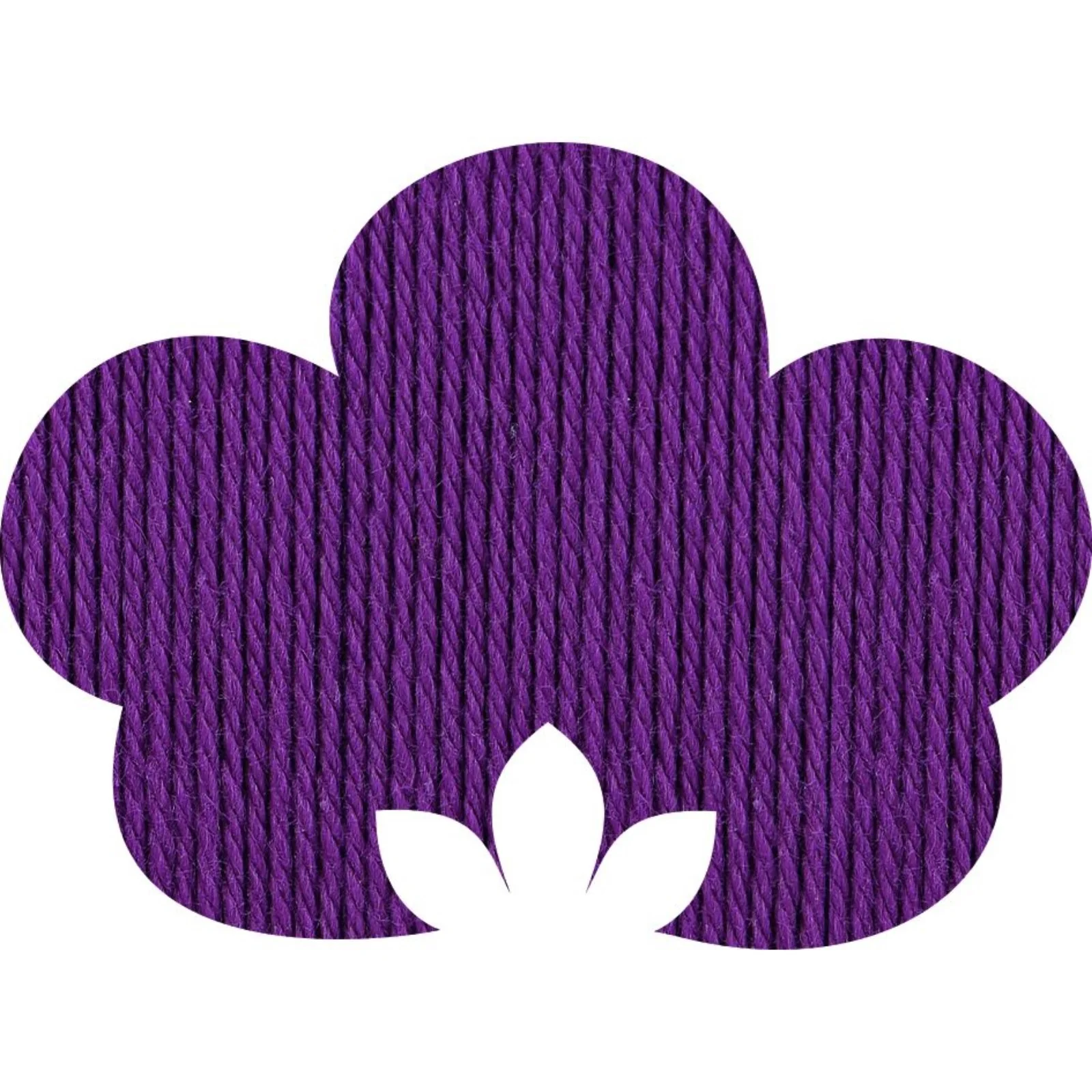Anchor Organic Cotton 4-fädig 50 g - Image 3