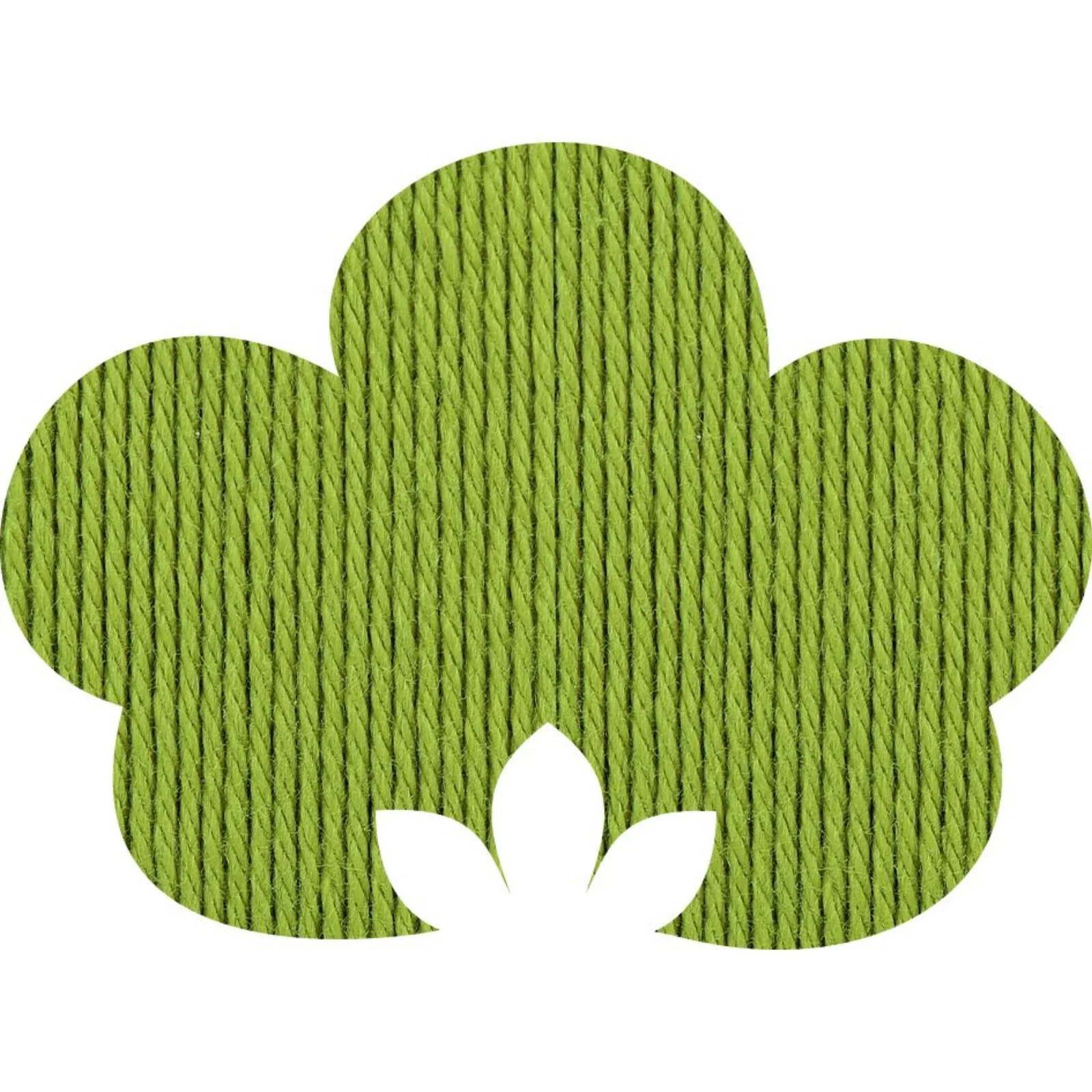Anchor Organic Cotton 4-fädig 50 g - Image 7