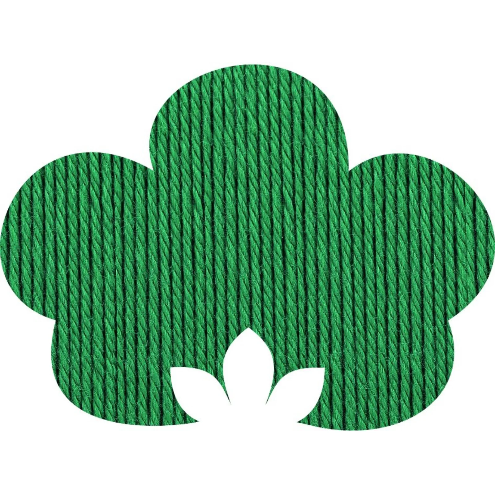 Anchor Organic Cotton 4-fädig 50 g - Image 8