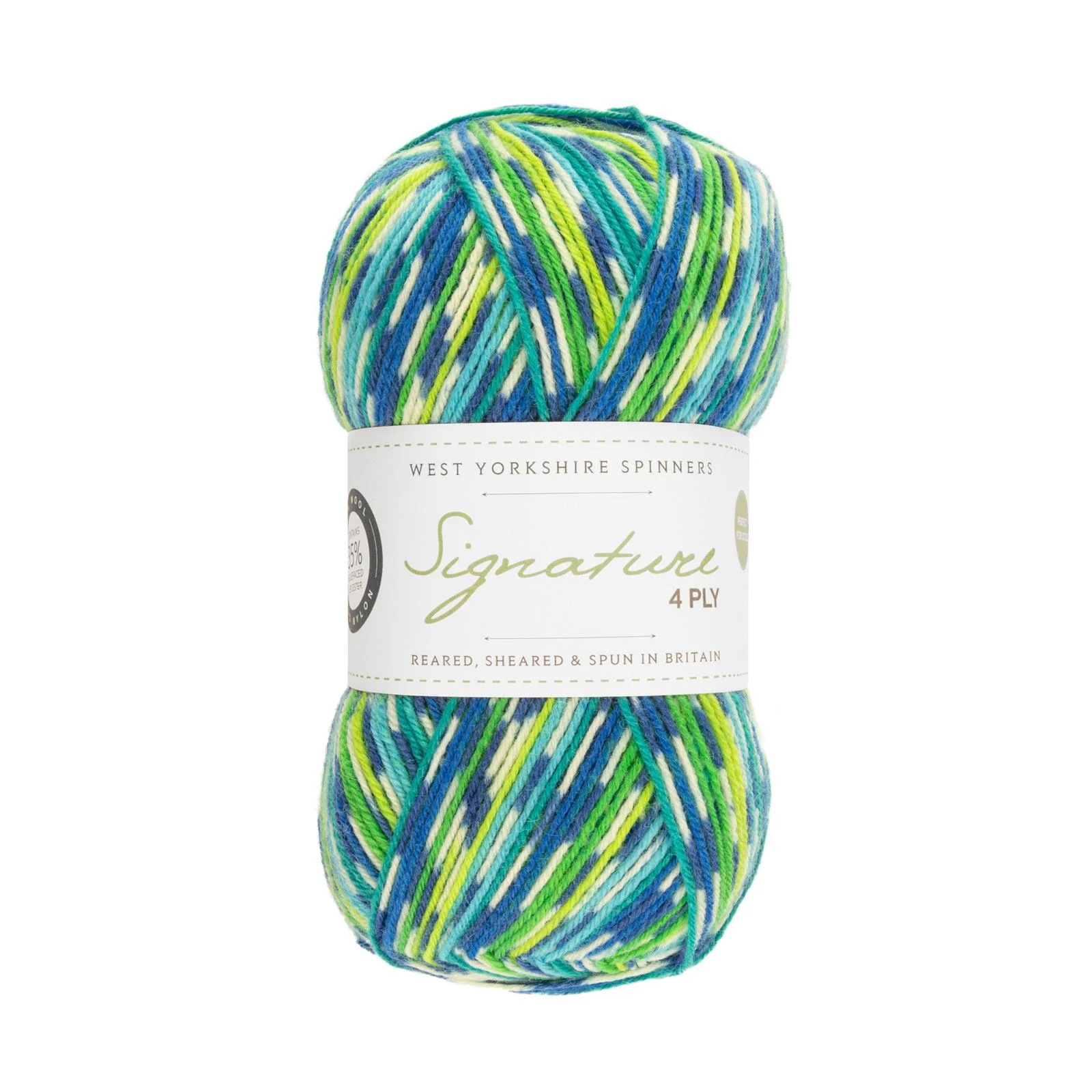 West Yorkshire Spinners Signature 4ply - Country Birds 100g - Image 11