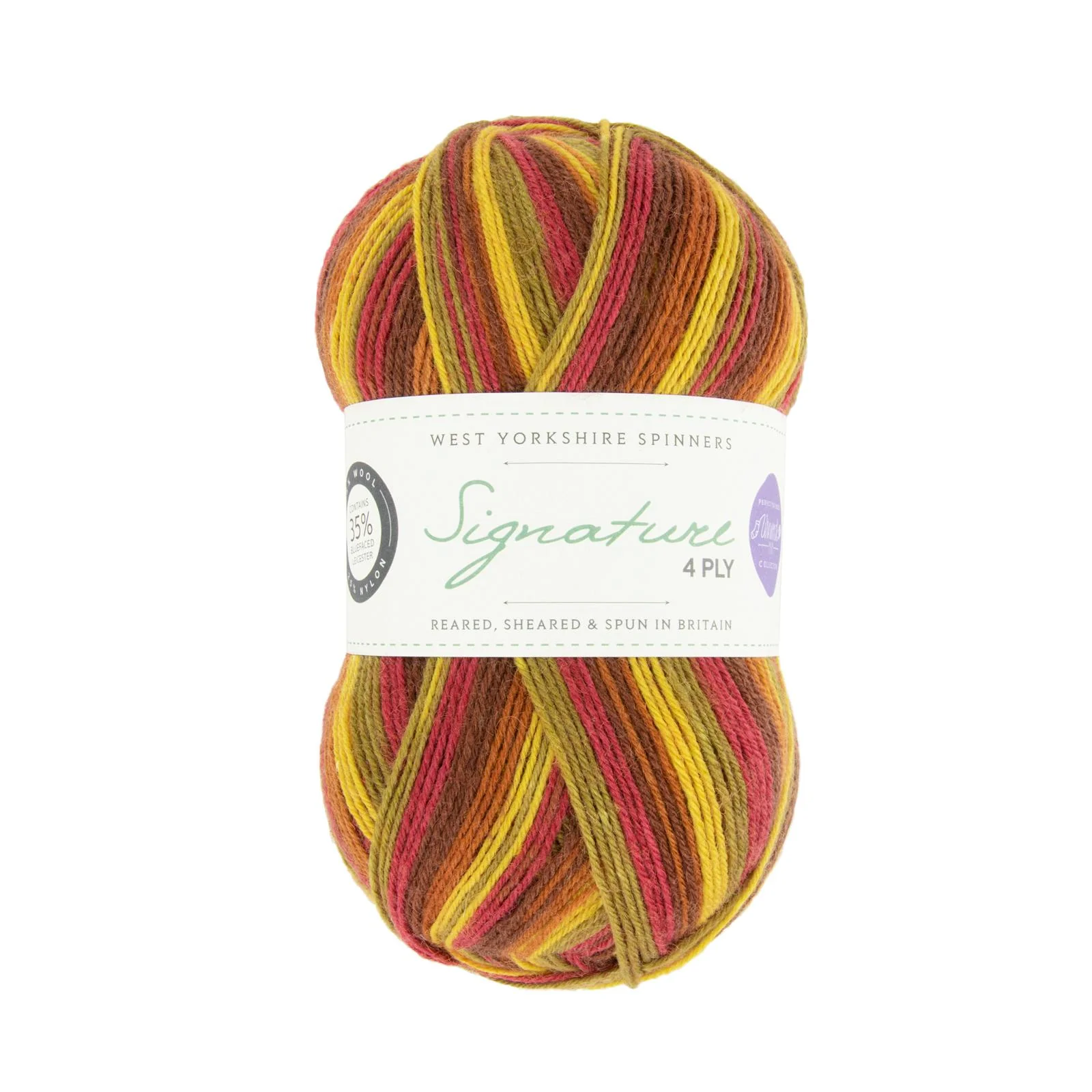 West Yorkshire Spinners Signature 4ply - Winwick Mum 100g - Image 2