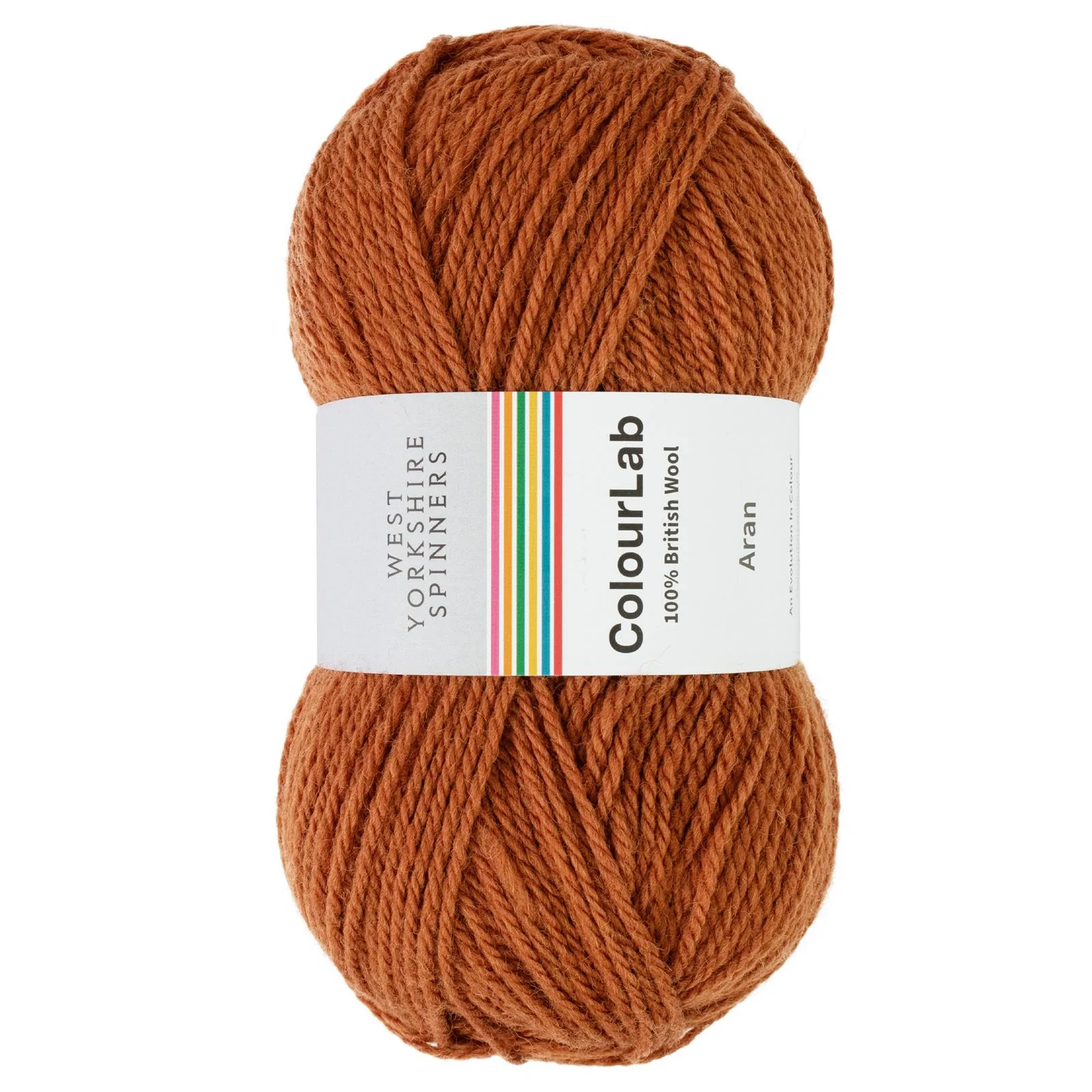 West Yorkshire Spinners ColourLab Aran 100g - Image 7
