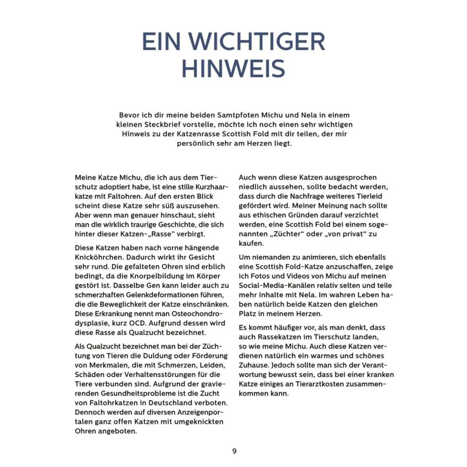 Mein Adventskalender-Buch: Fröhliche Miaunachten - Image 9